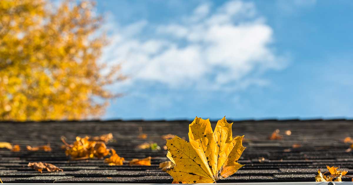 why to replace your roof in the fall