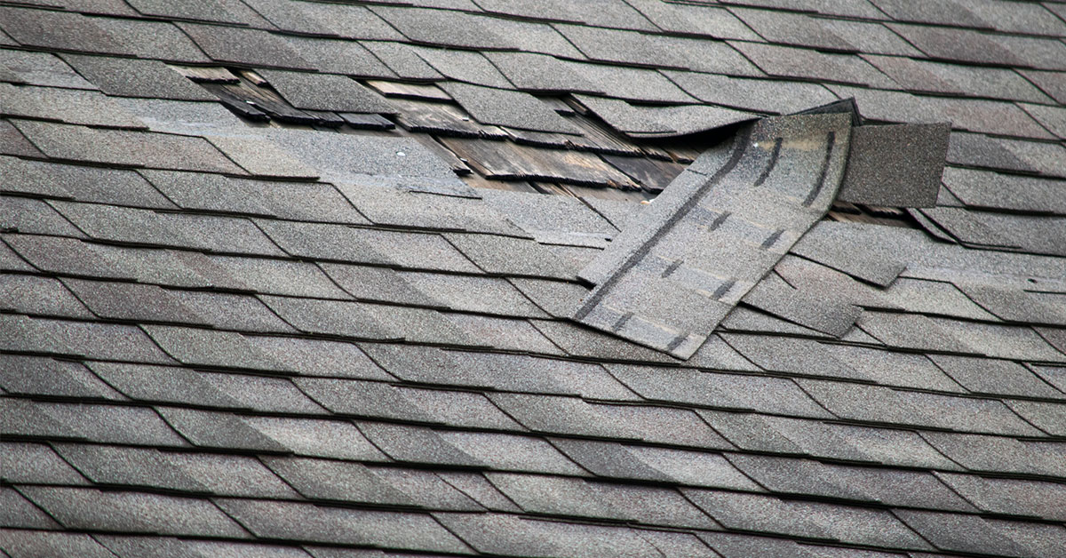 End of Winter Roof Repair