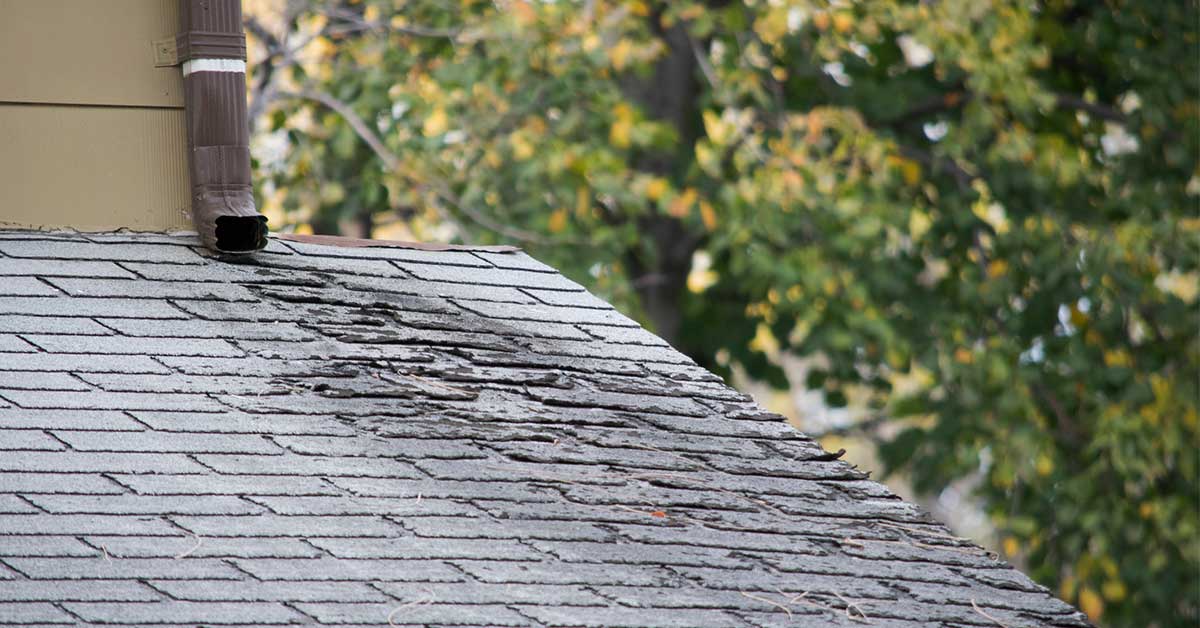 What are the signs of a rotting roof