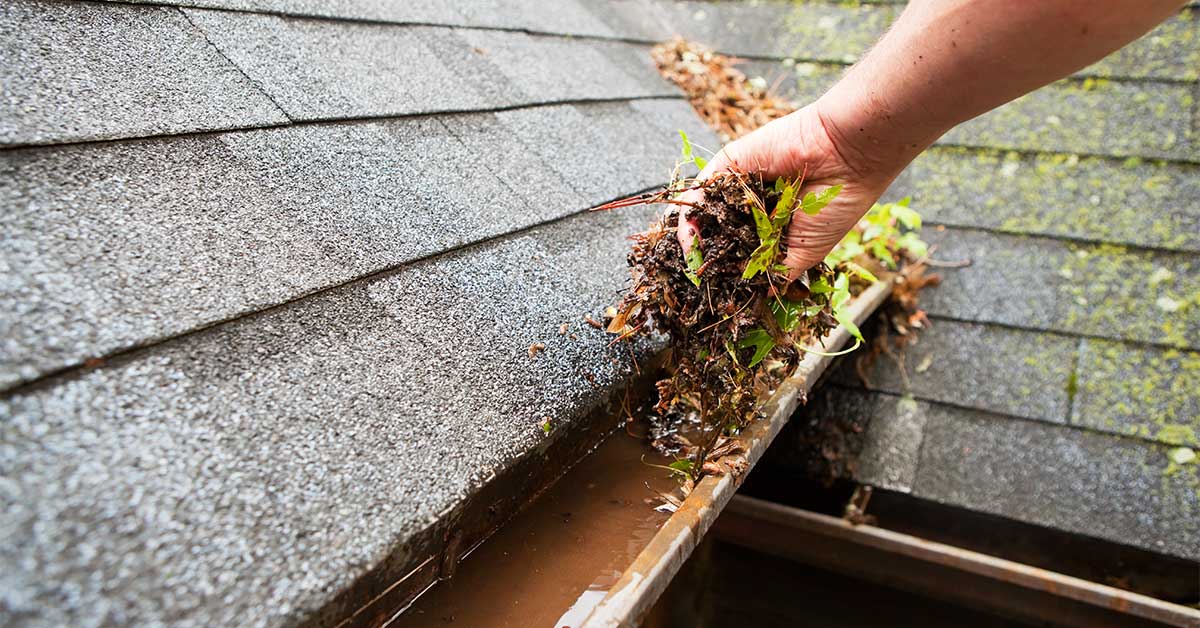 Maintain Your Roof in the Summer