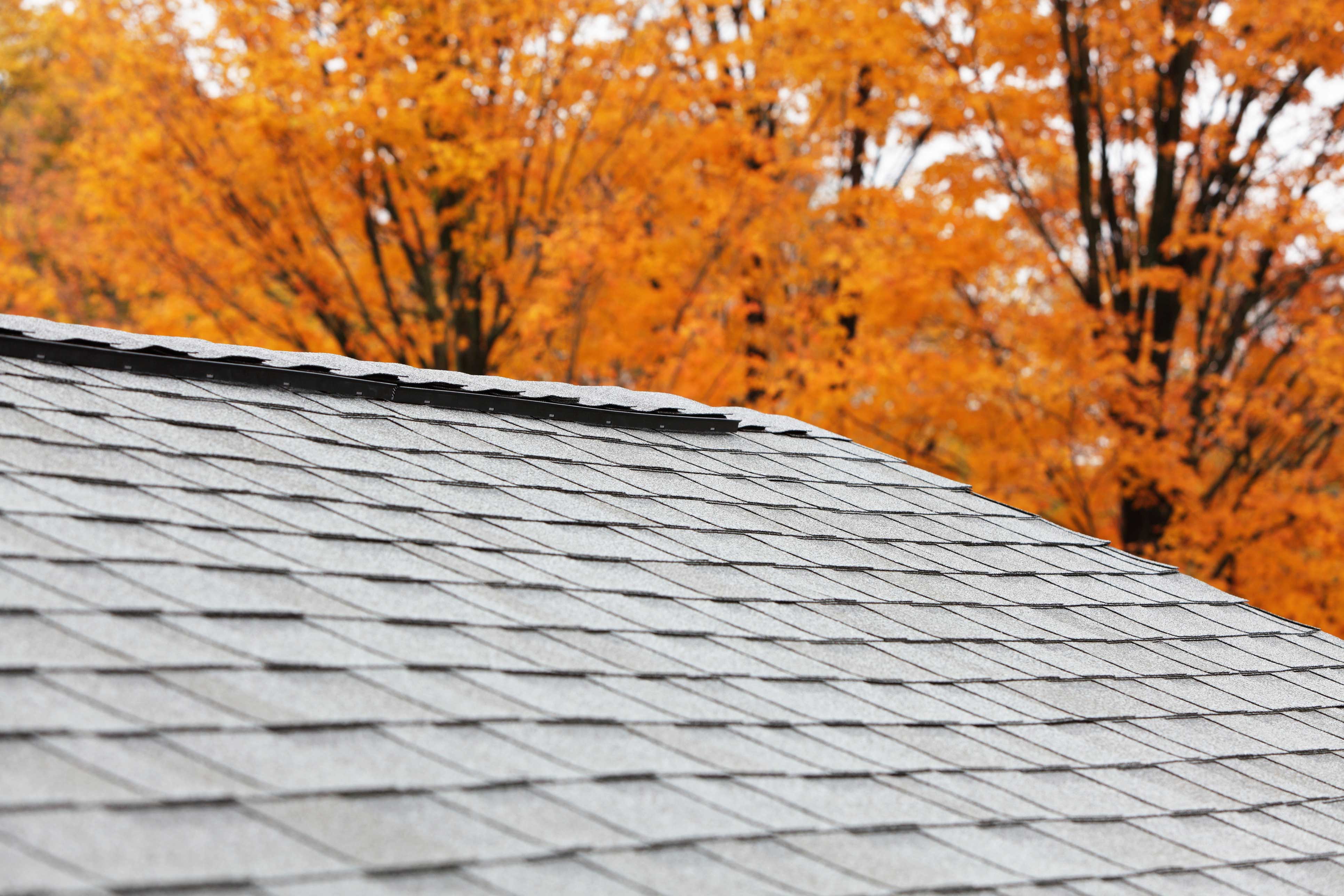 Is-Fall-a-GoodTime to Replace Your Roof