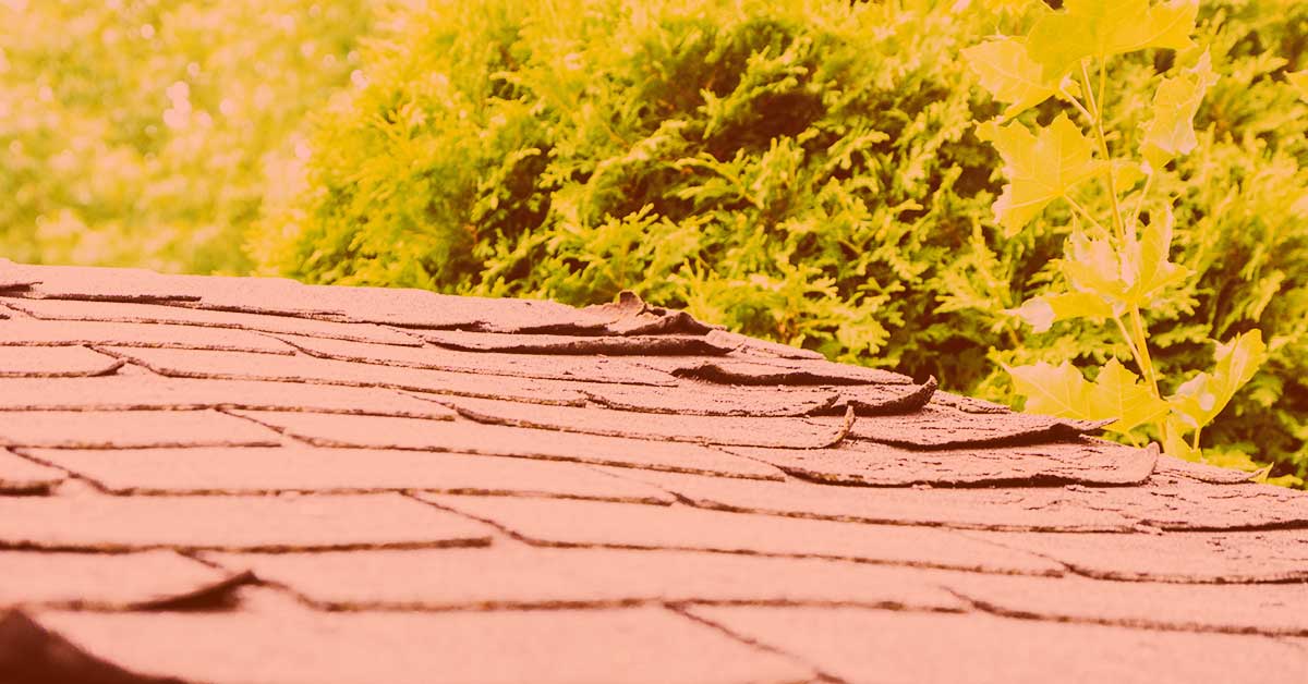 Ways Summer Weather Affects Your Roof